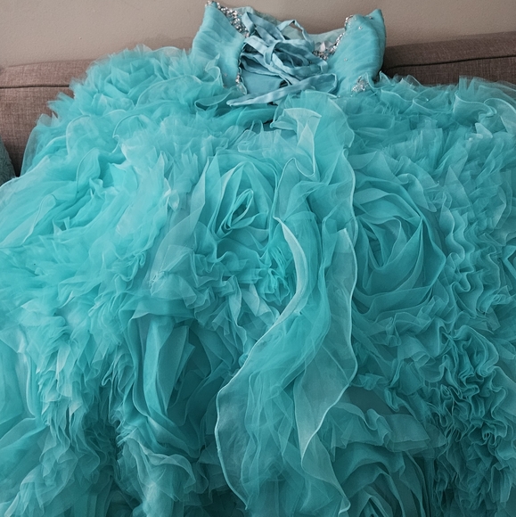Quiencenera Dress, Prom or Ball Dress - Picture 14 of 14
